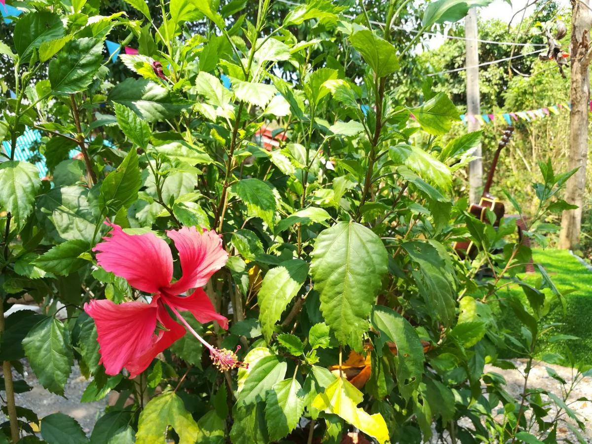 Star View Garden Villa Ban Huai Maenam Noi Buitenkant foto